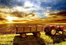 Ajutor nou pentru fermieri: ar putea primi până la 527,50 lei pe hectar pentru scumpirea îngrășămintelor