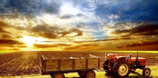Ajutor nou pentru fermieri: ar putea primi până la 527,50 lei pe hectar pentru scumpirea îngrășămintelor