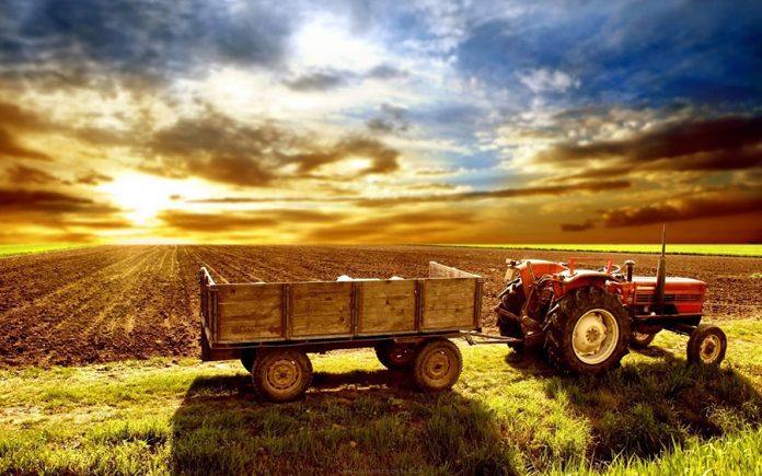 agricultura