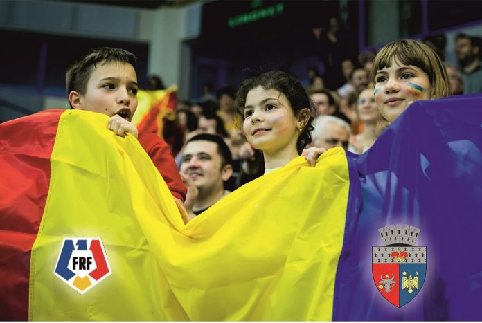 fotbal cu steme_mic