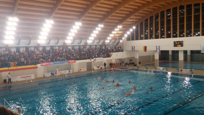 polo (2)
