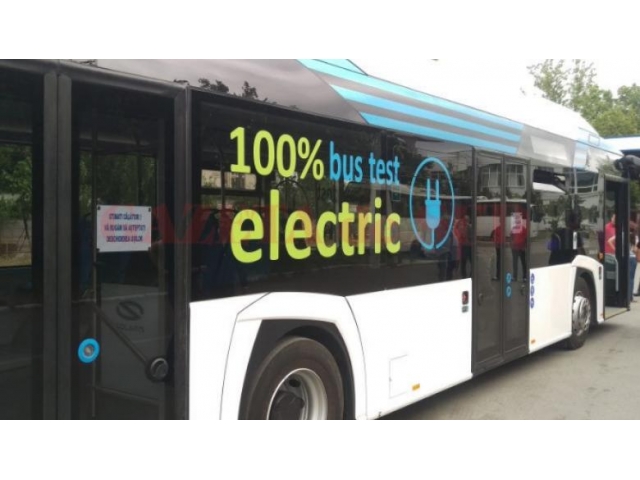 primarie autobuz