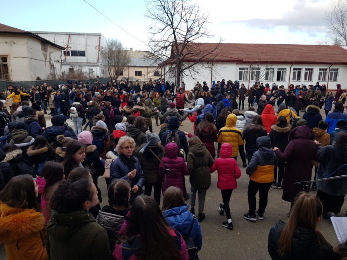cuza (4)