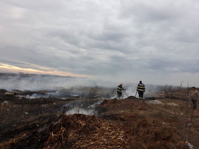 incendii vegetatie 1