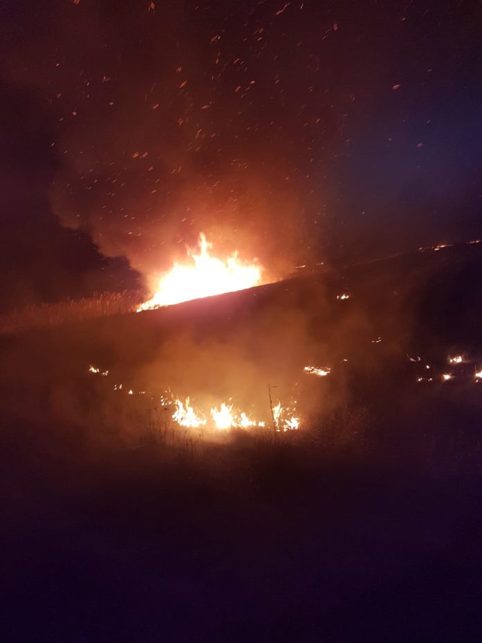 IMG-20200213-WA0000