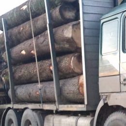 camion-lemne