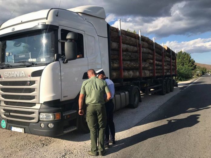 transport lemne