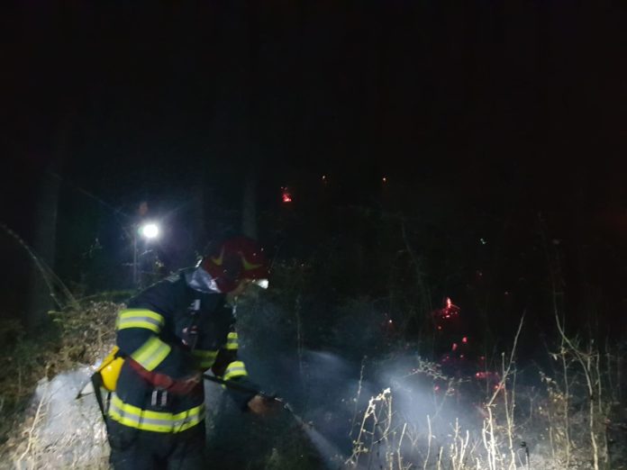 incendiu fitionesti2