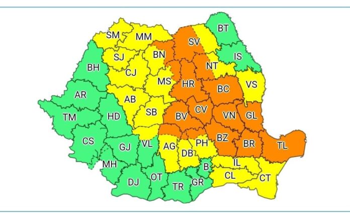 Vrancea cod portocaliu