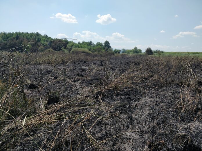 incendiu calimanesti
