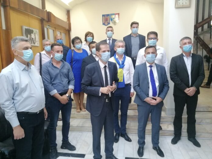 PNL depunere candidaturi
