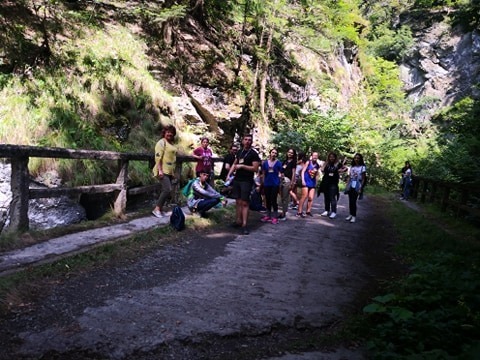 Tiner natura DJST (1)