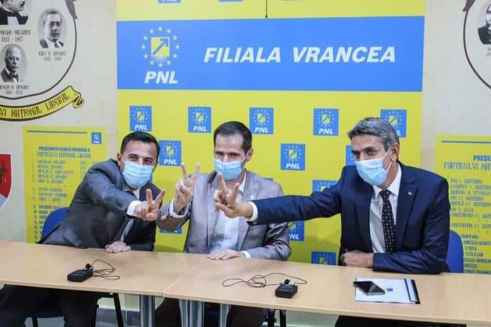 PNL candidati parlament