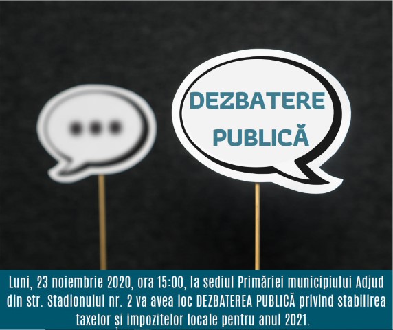 dezbatere adjud