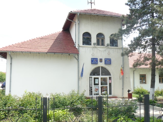 Primaria Garoafa (Mică)