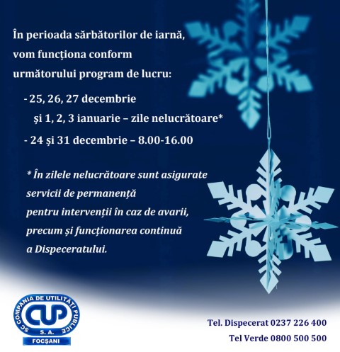 cup sarbatori