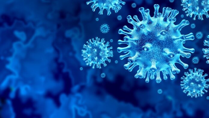 coronavirus