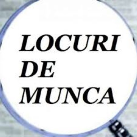 locuri de munca