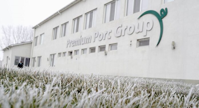 premium porc