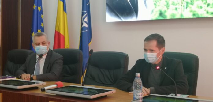 Toma si Zamfirescu