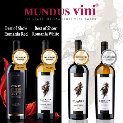 Mundus Vini