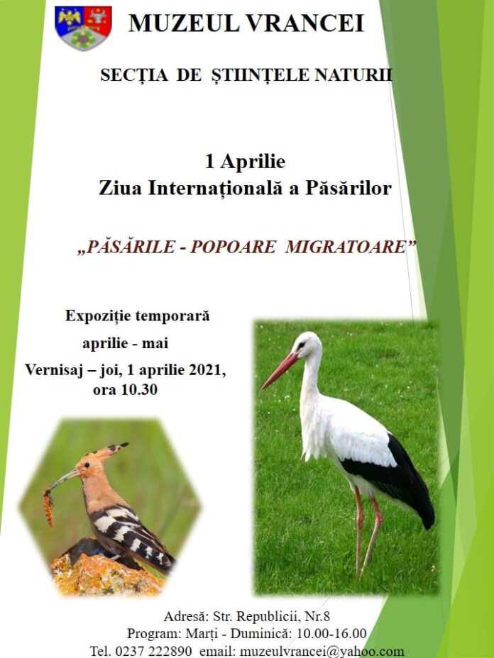 afis pasari migratoare