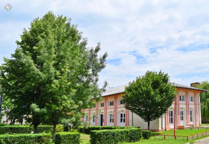 casa cultura panciu