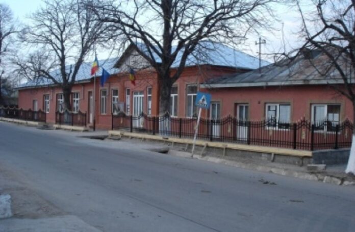 sl bradului