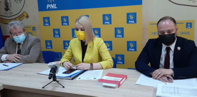 Dimitriu Birsan gheoca (2)