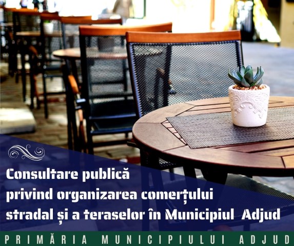 adjud consultare publica