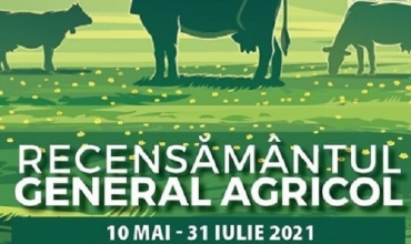 recesamant agricool