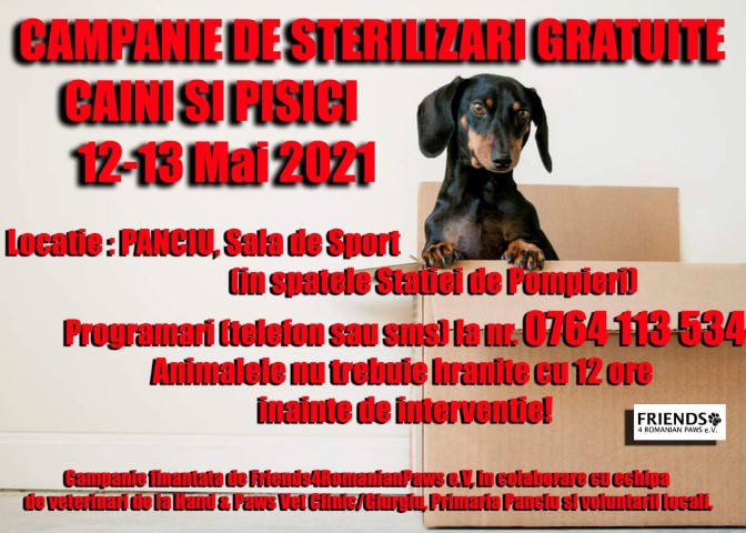 sterilizare gratuita caini si pisici panciu
