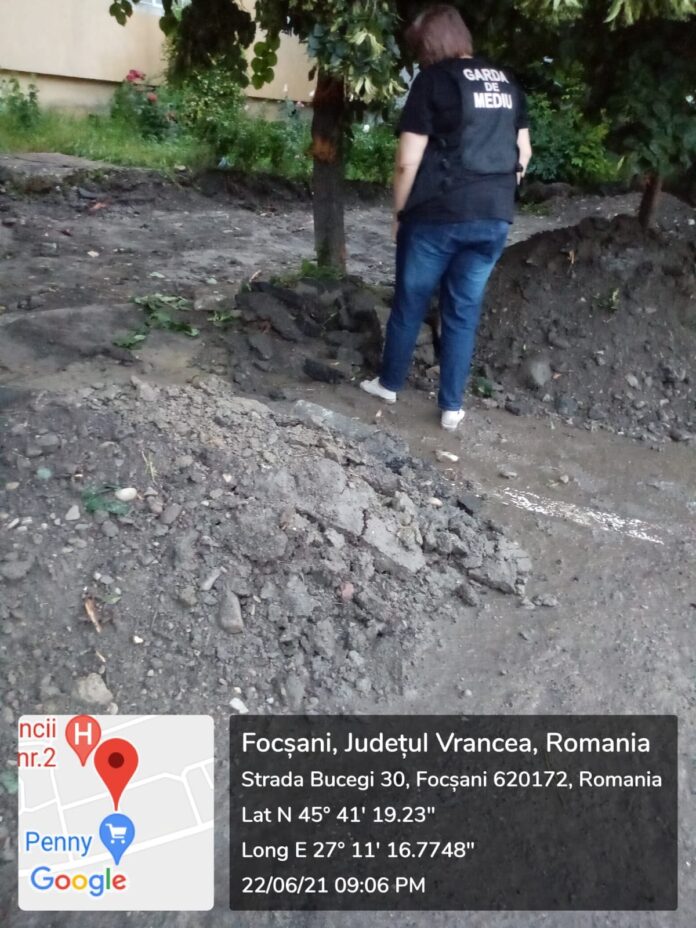 copaci stricati focsani (2)