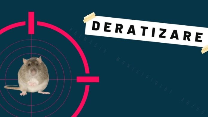 deratizare