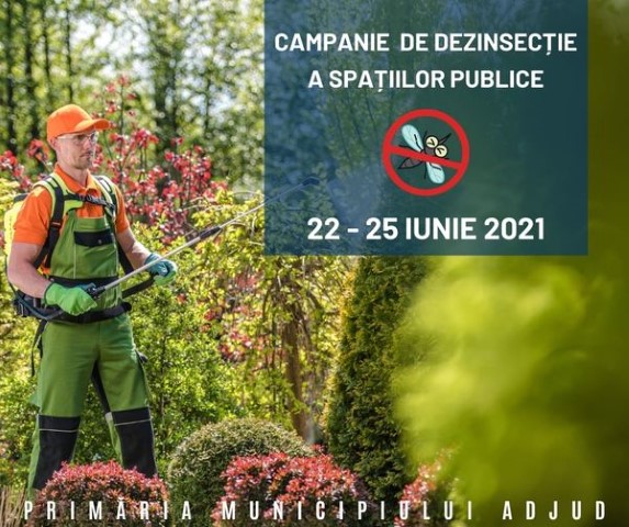 dezinsectie adjud