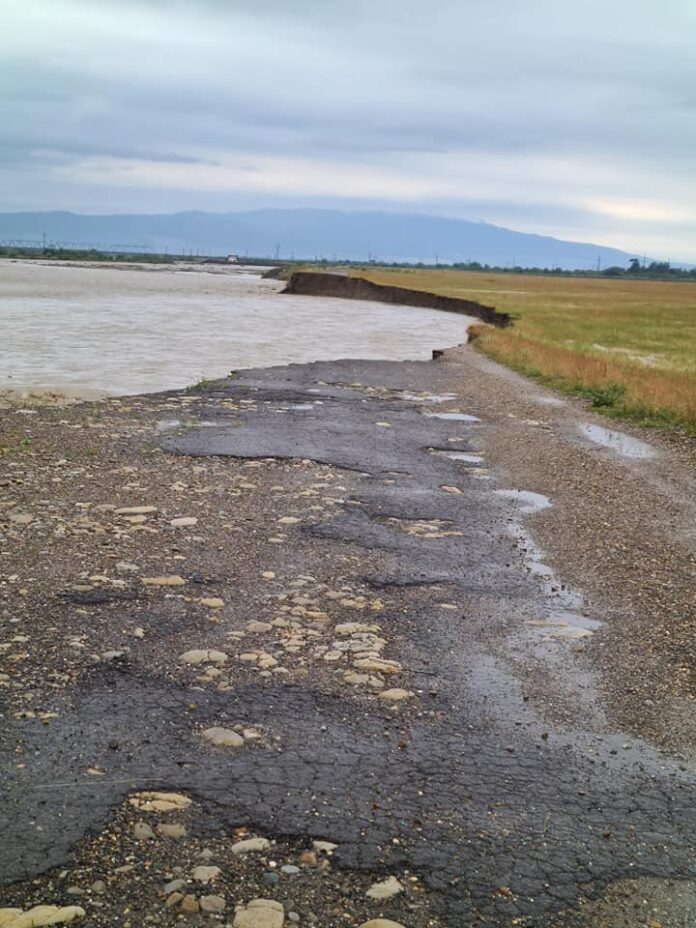 Putna Garoafa dig