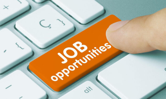 locuri-de-munca-job