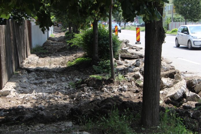 tei bucegi 2