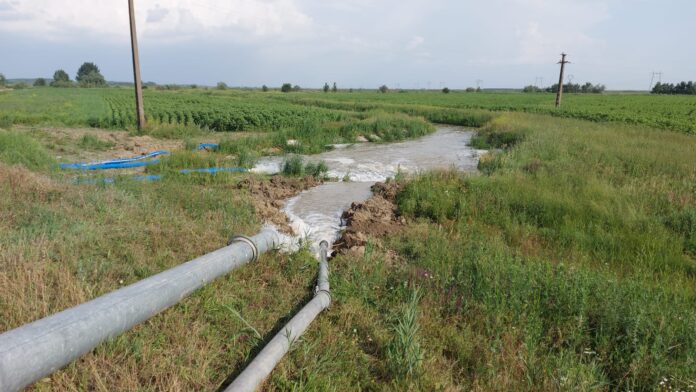 vadu rosca inundatii 4