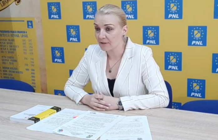 ana maria dimitriu vice