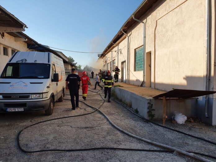 incediu depozit piese auto (3)