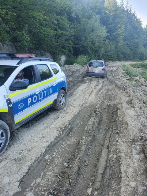 Politie masina drum forestier (3)