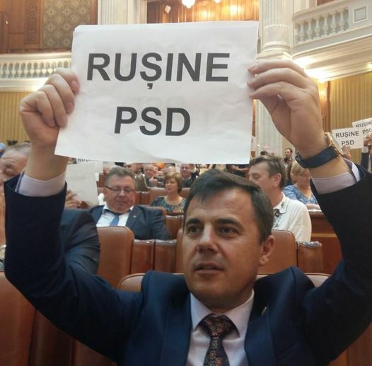 Ion stefan rusine psd