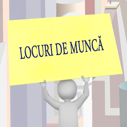 LOCURI DE MUNCA