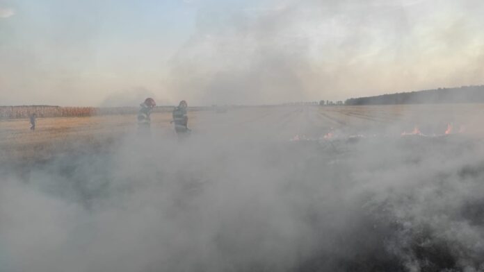 incendiu vegetatie uscata (4)