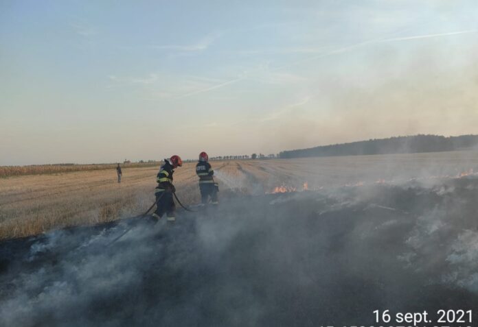 incendiu vegetatie uscata (5)