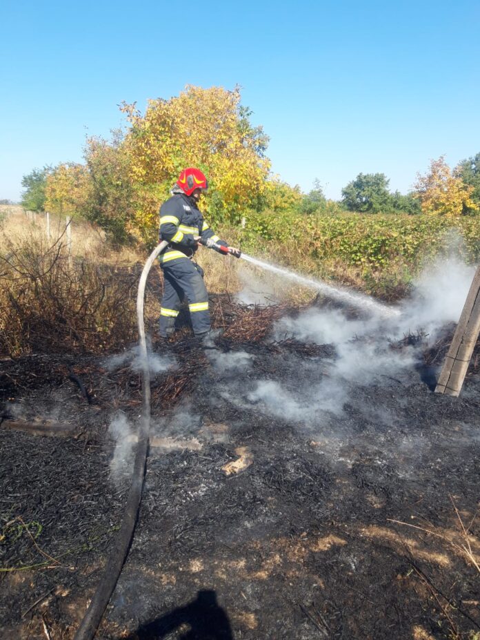 incendii vegetatie uscata (3)