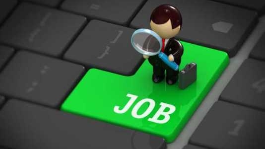 locuri-de-munca-vacante