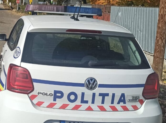 politie masina generic