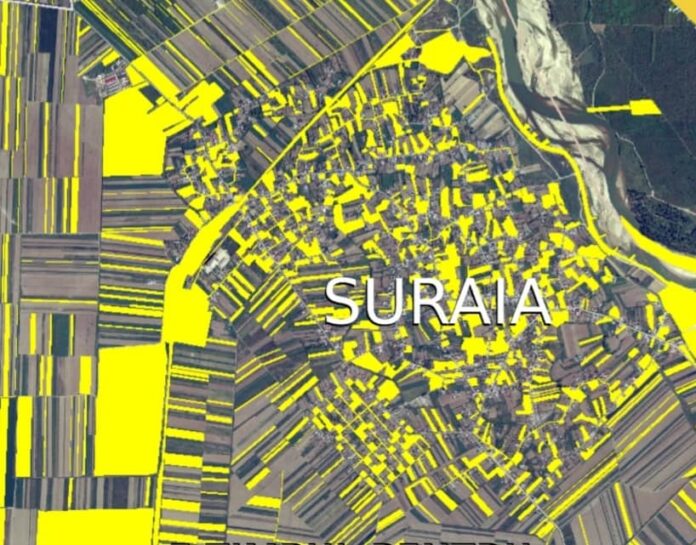 suraia 1